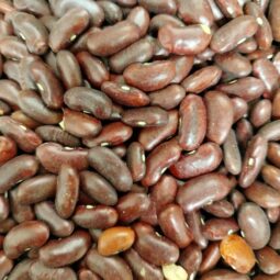 Haricot rouge bio vrac