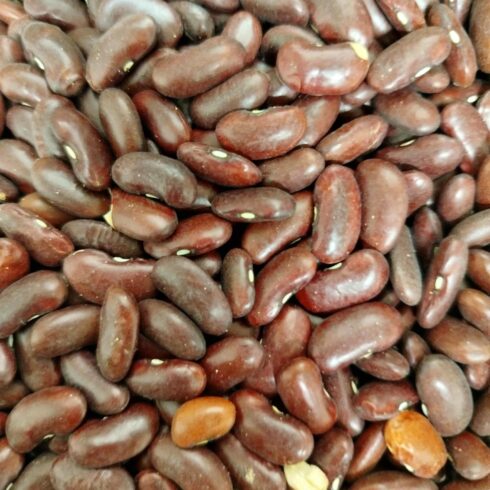 Haricot rouge bio vrac