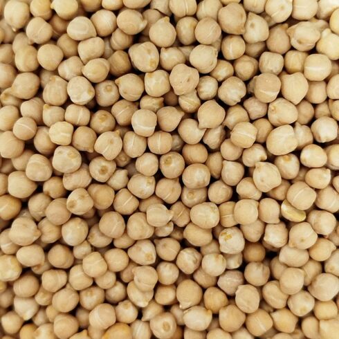 Pois chiche bio vrac