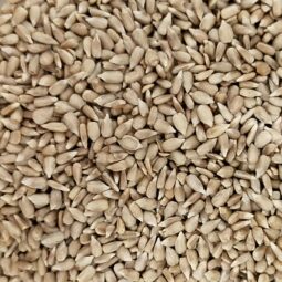 Graines de tournesol décortiquées bio vrac