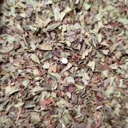 infusion verveine menthe bio