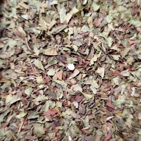 infusion verveine menthe bio