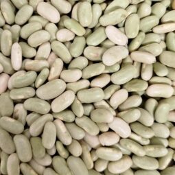 Flageolet verts bio vrac