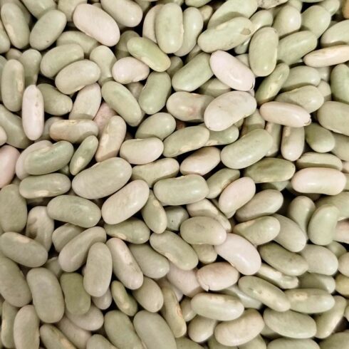 Flageolet verts bio vrac