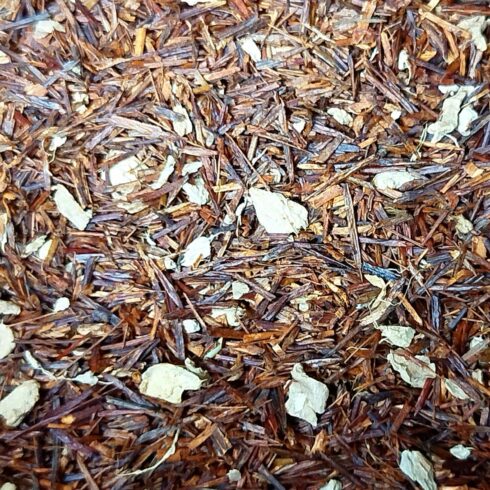 Rooïbos tropical gingembre abricot orange bio
