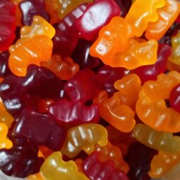 bonbons oursons bio vegan
