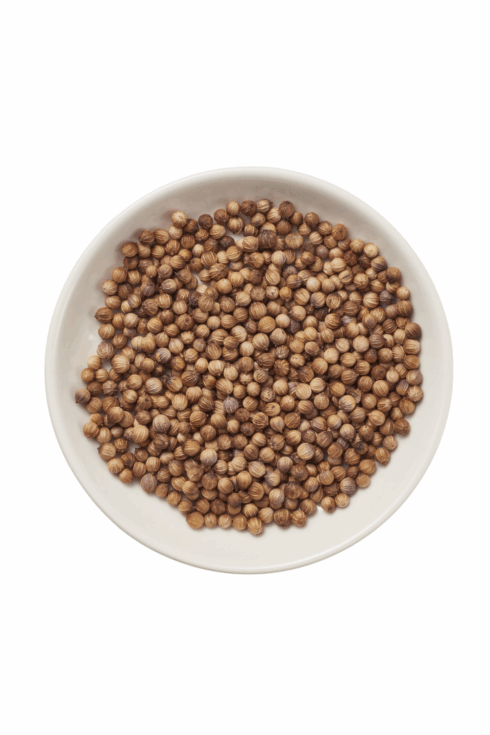 Epice Coriandre graine bio vrac