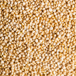 quinoa complet bio et vrac