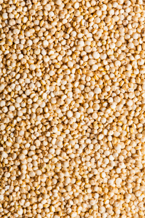 quinoa complet bio et vrac