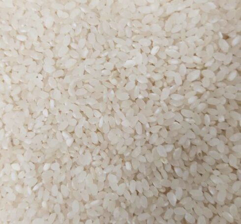 Riz Rond Blanc de Camargue Bio en Vrac