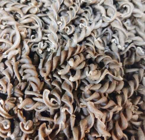 Torsade de lentilles vertes bio et vrac sans gluten