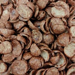 Céréales petit déjeuner au chocolat Chocolune Bio en Vrac