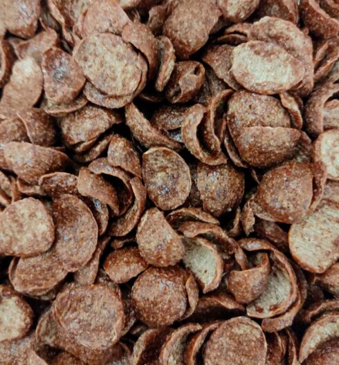 Céréales petit déjeuner au chocolat Chocolune Bio en Vrac
