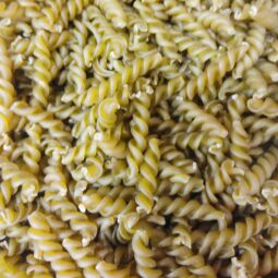 Pâtes sans gluten Torsades de pois cassés bio en vrac