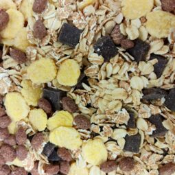 Muesli chocolat noir Bio en Vrac