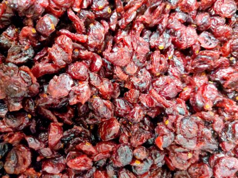 Cranberries demi séchées bio et vrac