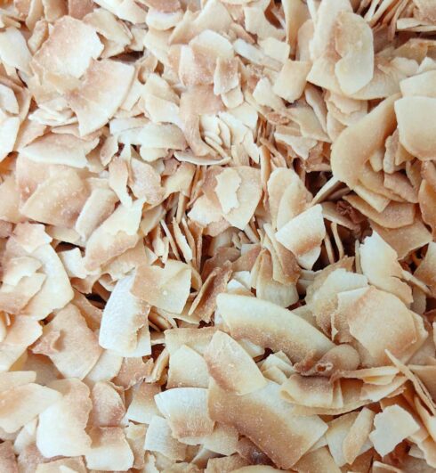 Noix de coco chips bio vrac