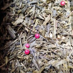 Thé vert fraise, pomme, fruits des bois bio vrac