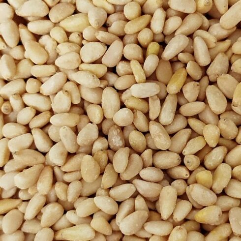 Pignon de pin bio vrac