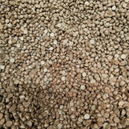 Pépite de chocolat bio vrac