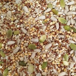 Mélange de graines pain et salade bio