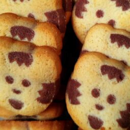Biscuit tigre chocolat vanille bio
