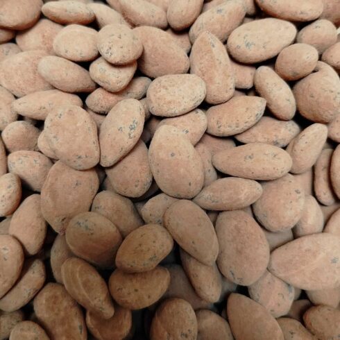 Amande caramel chocolat bio