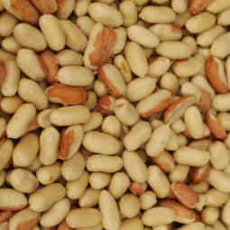 Cacahuètes grillées non salées bio