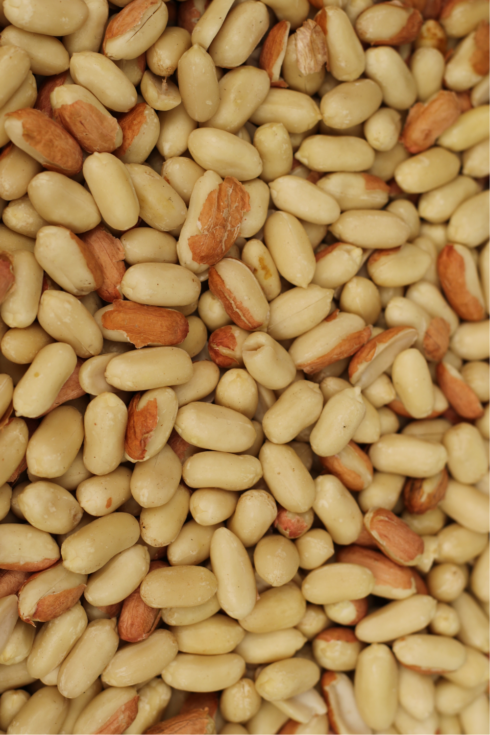 Cacahuètes grillées non salées bio