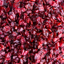 Cranberry séchée au sucre de canne bio en vrac
