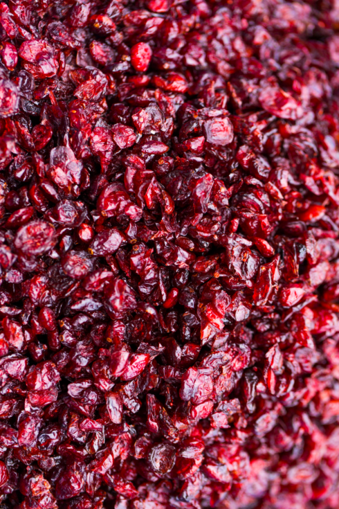 Cranberry séchée au sucre de canne bio en vrac