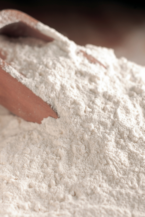 Farine de blé Blanche bise T80 bio vrac