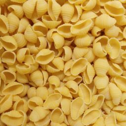 Conchiglioni Pâtes en forme de coquillage Bio
