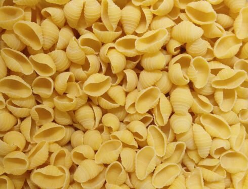 Conchiglioni Pâtes en forme de coquillage Bio