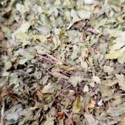 Feuille de menthe douce bio