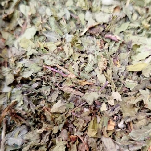 Feuille de menthe douce bio