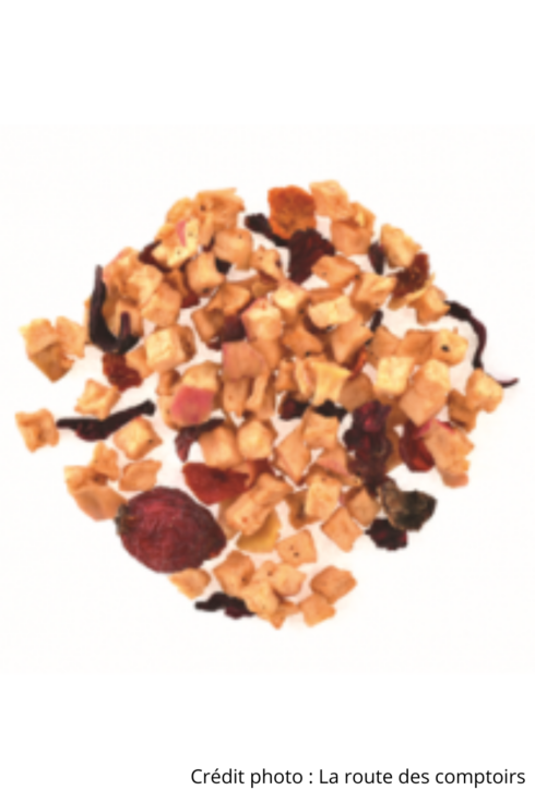 Tisane escapade exotique bio vrac la route des comptoirs