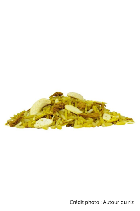 Riz aux épices et noix de cajou bio