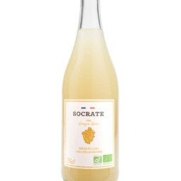 Ginger Beer Socrate