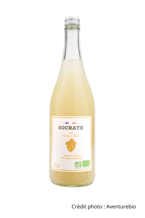 Ginger Beer Socrate