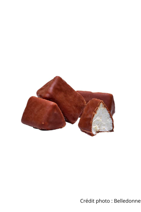 Guimauve au chocolat bio vrac
